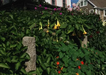 Scotch Hill Inn hotel thumbnail 2