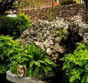 Nirvana Restaurant And Retreat hotel detail image 5