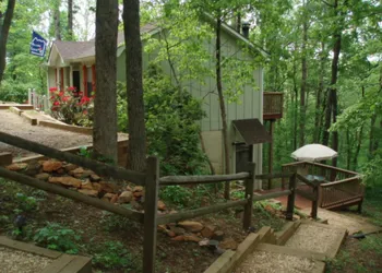 Mountain Top Lodge hotel thumbnail 4