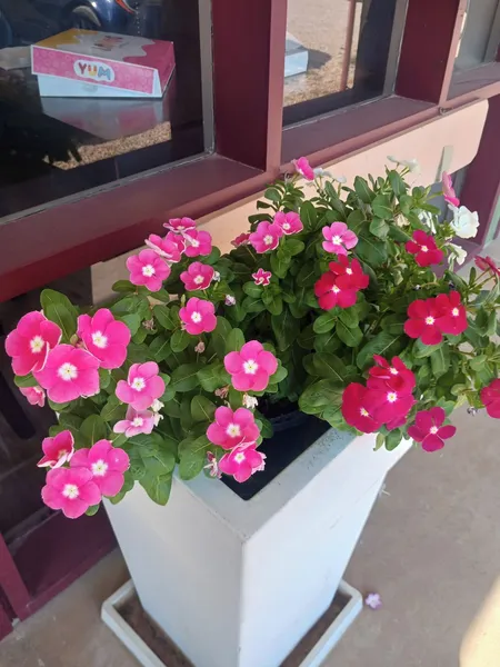 The Dietzel hotel detail image 6