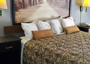 Palmetto Inn hotel thumbnail 8