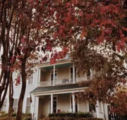 Fig Tree Manor hotel detail image 4