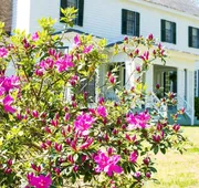Oak Grove Bed and Breakfast hotel detail image 3