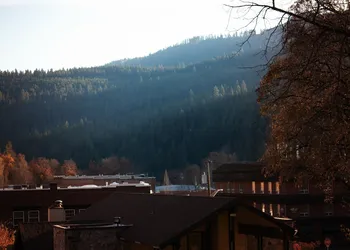 White Pine Motel hotel thumbnail 7