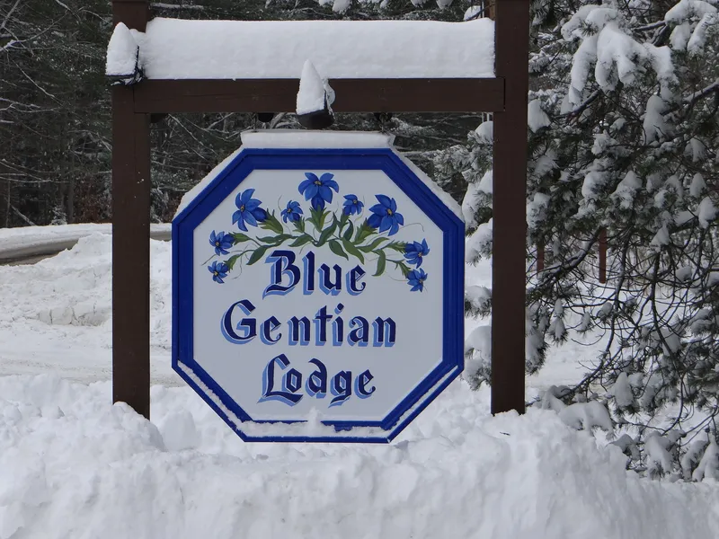 Blue Gentian Lodge at Magic Mountain hotel detail image 2