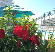 Shalimar Resort hotel detail image 3