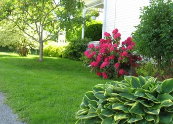 The Nelson House Bed & Breakfast hotel thumbnail 8