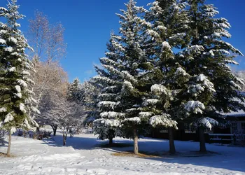 Whitewater Lodge hotel thumbnail 3