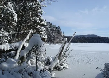 Manoir du Lac Sept-Îles hotel thumbnail 8