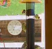 Our Valley View Bed & Breakfast hotel detail image 7