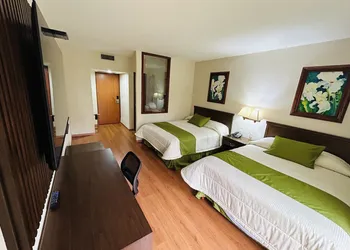 Hotel Villa Florida Córdoba hotel thumbnail 7