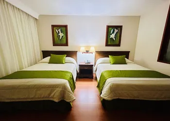 Hotel Villa Florida Córdoba hotel thumbnail 8