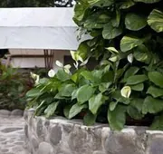 Okavango hotel detail image 7