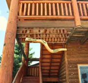 River Lodge hotel detail image 3