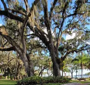 Tropical Resort & Marina on Lake Beresford hotel detail image 4