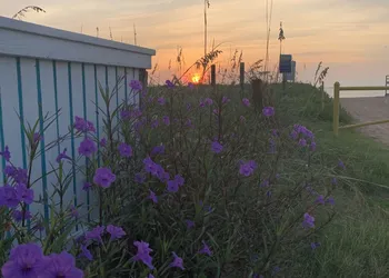 The Saint Augustine Beach House hotel thumbnail 7