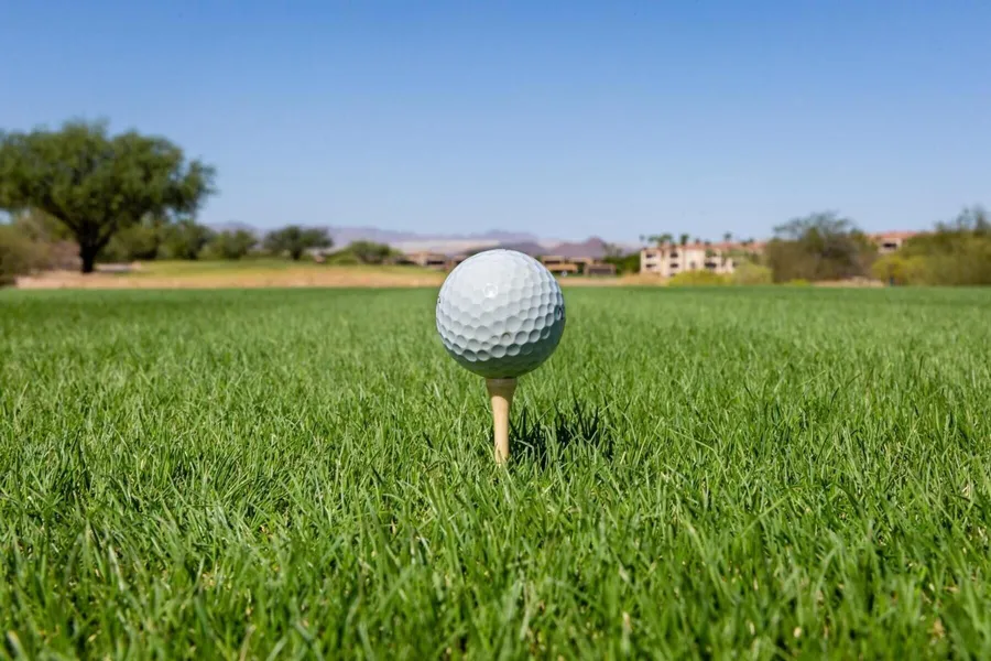 Canoa Ranch Golf Resort hotel detail image 6