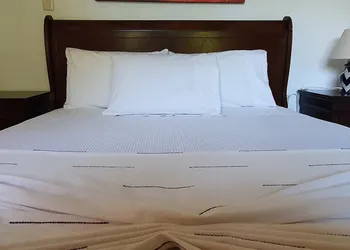 Casa de las Conchas Cuernavaca hotel thumbnail 4