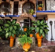 Hotel Misión, Acapulco Centro hotel detail image 4