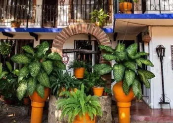 Hotel Misión, Acapulco Centro hotel thumbnail 4