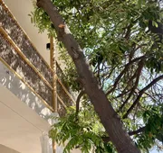 The Mantarraya Outpost Bed & Breakfast hotel detail image 4