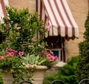 Weller Haus Bed, Breakfast & Event Center hotel detail image 3