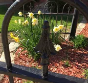 Weller Haus Bed, Breakfast & Event Center hotel detail image 7