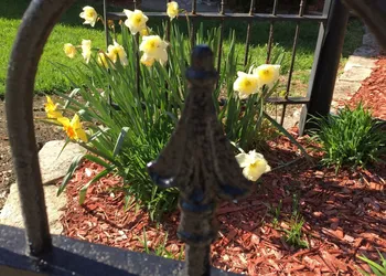 Weller Haus Bed, Breakfast & Event Center hotel thumbnail 7