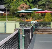 Club Wyndham Resort at Fairfield Sapphire Valley hotel detail image 5