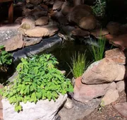 Elden Trails Bed and Breakfast hotel detail image 4