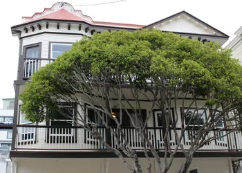 Hermosa Hotel hotel thumbnail 2