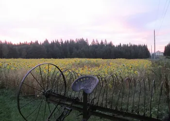 Le Jardin des Mésanges hotel thumbnail 4