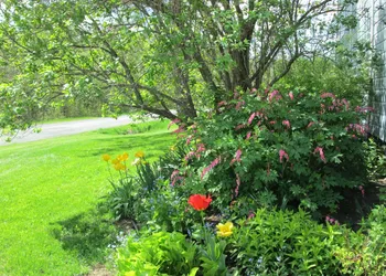 Le Jardin des Mésanges hotel thumbnail 5