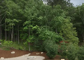 Echo Woods B&B hotel thumbnail 6