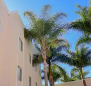 Hotel Las Palomas Tepic Express hotel detail image 7