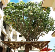 EH Ejecutivo Urban Hotel hotel detail image 3