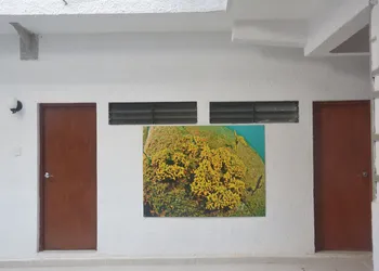 Hotel Acapulco Amor hotel thumbnail 8