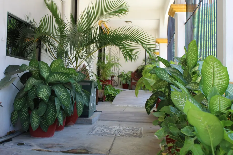 Hotel Arrecife Plus hotel detail image 2