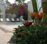 Casa Tepoztlán hotel detail image 4