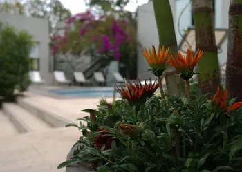 Casa Tepoztlán hotel thumbnail 4