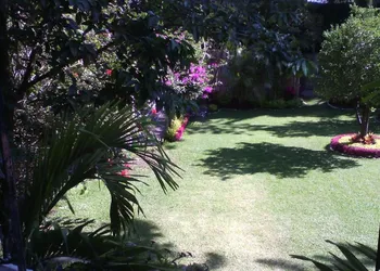 Casa Tepoztlán hotel thumbnail 6