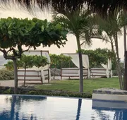 Casa Manzanillo Boutique Hotel hotel detail image 4