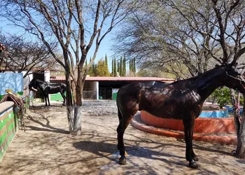Rancho Los Labradores hotel thumbnail 3