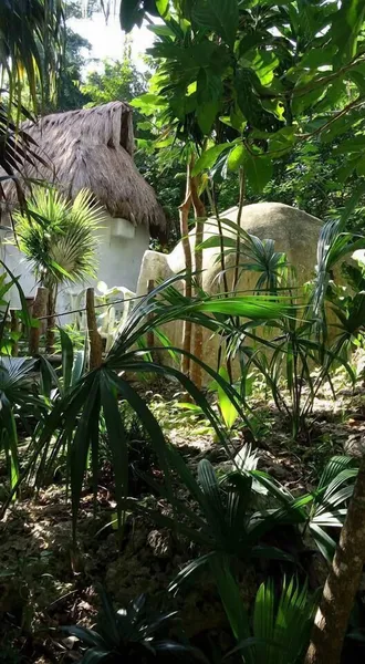 Kambulum Nature Eco-Villas hotel detail image 2