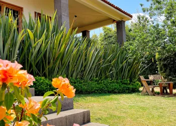 Sandunga Cabañas Boutique hotel thumbnail 2