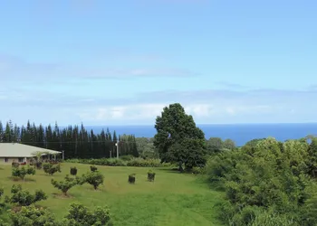 Mahana House Country Inn hotel thumbnail 6