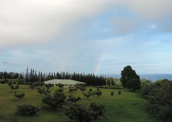 Mahana House Country Inn hotel thumbnail 7