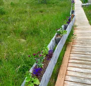 Earthsong Lodge hotel detail image 7