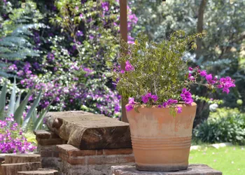 Hotel Boutique El Campirano hotel thumbnail 4