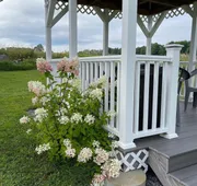 Blueberry Fields B&B hotel detail image 7